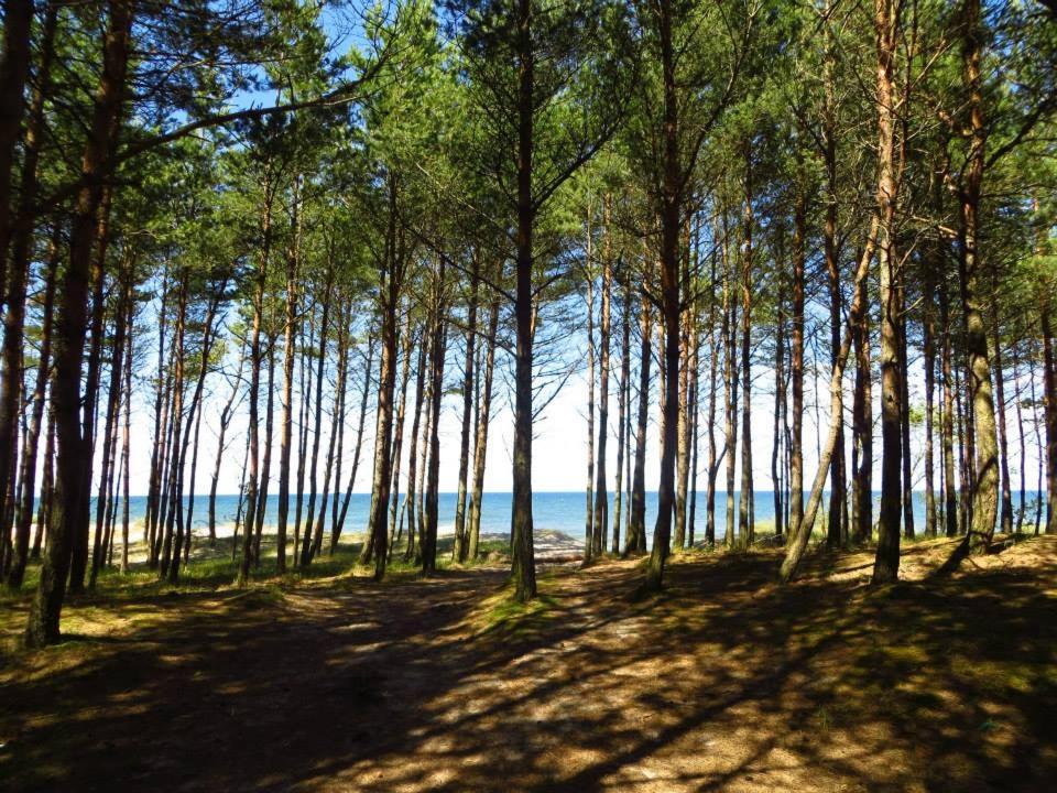 Domki Wczasowe Mielenko Exterior foto